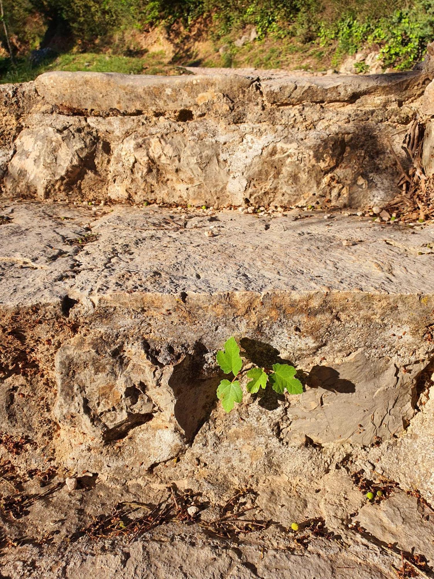 Violeta Hvar Đảo Hvar Ngoại thất bức ảnh