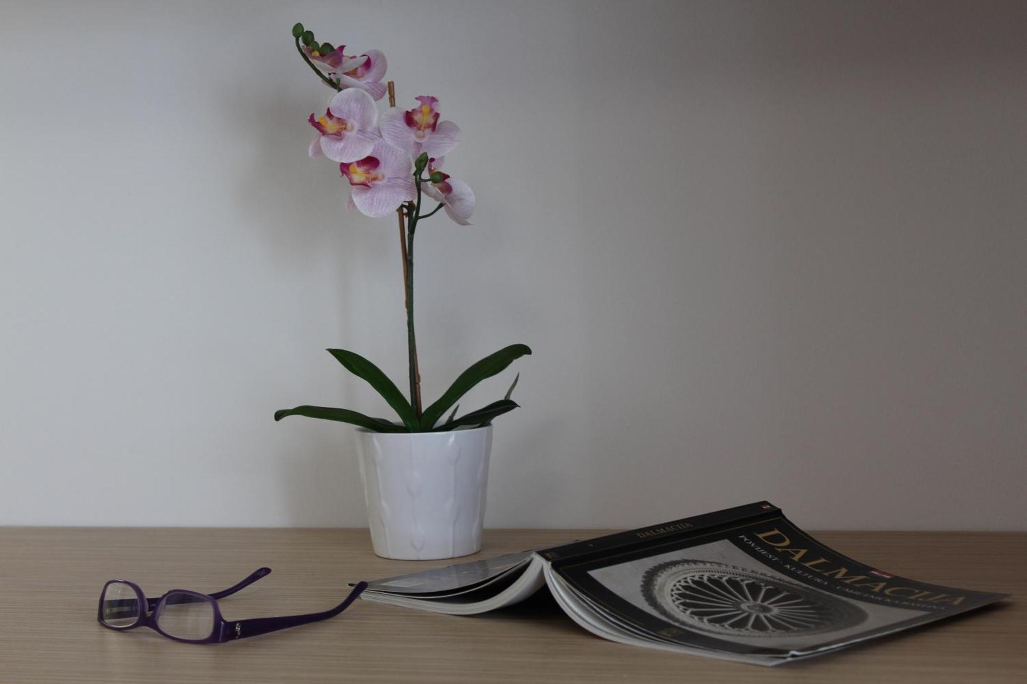 Violeta Hvar Đảo Hvar Ngoại thất bức ảnh