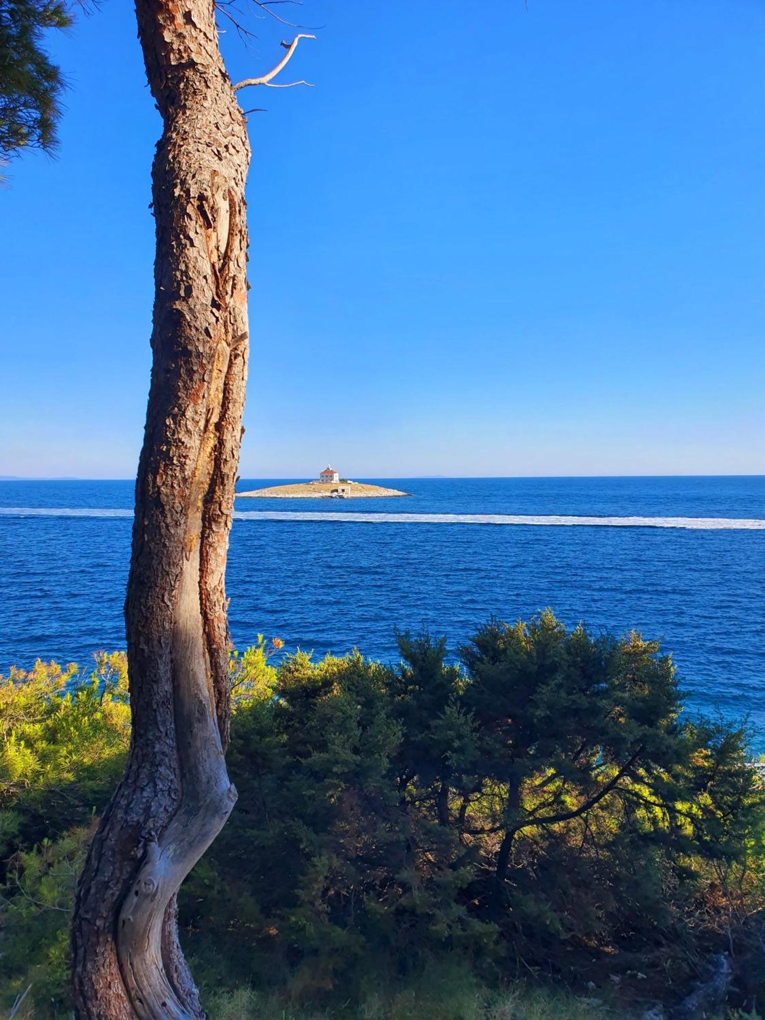 Violeta Hvar Đảo Hvar Ngoại thất bức ảnh