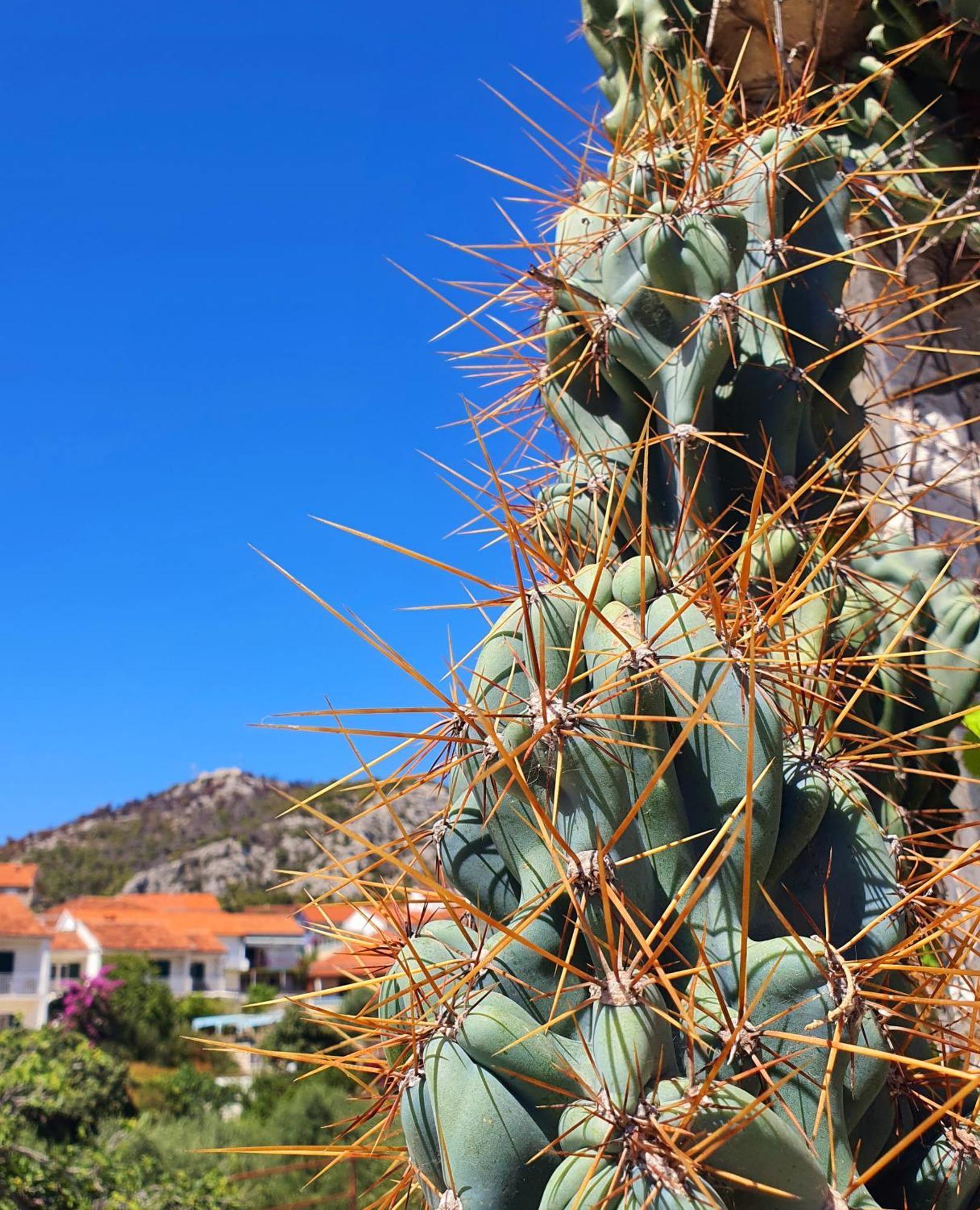 Violeta Hvar Đảo Hvar Ngoại thất bức ảnh