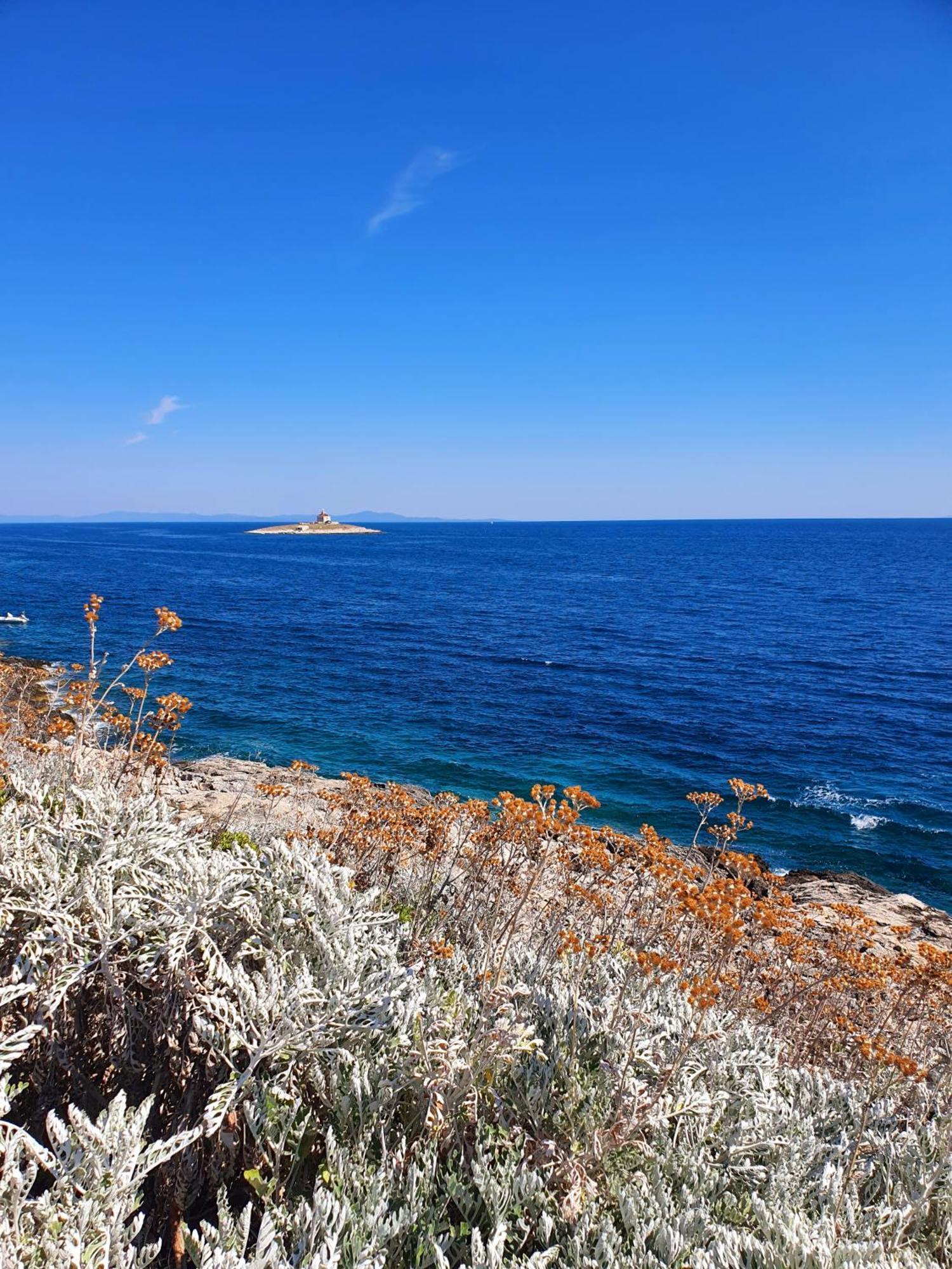 Violeta Hvar Đảo Hvar Ngoại thất bức ảnh