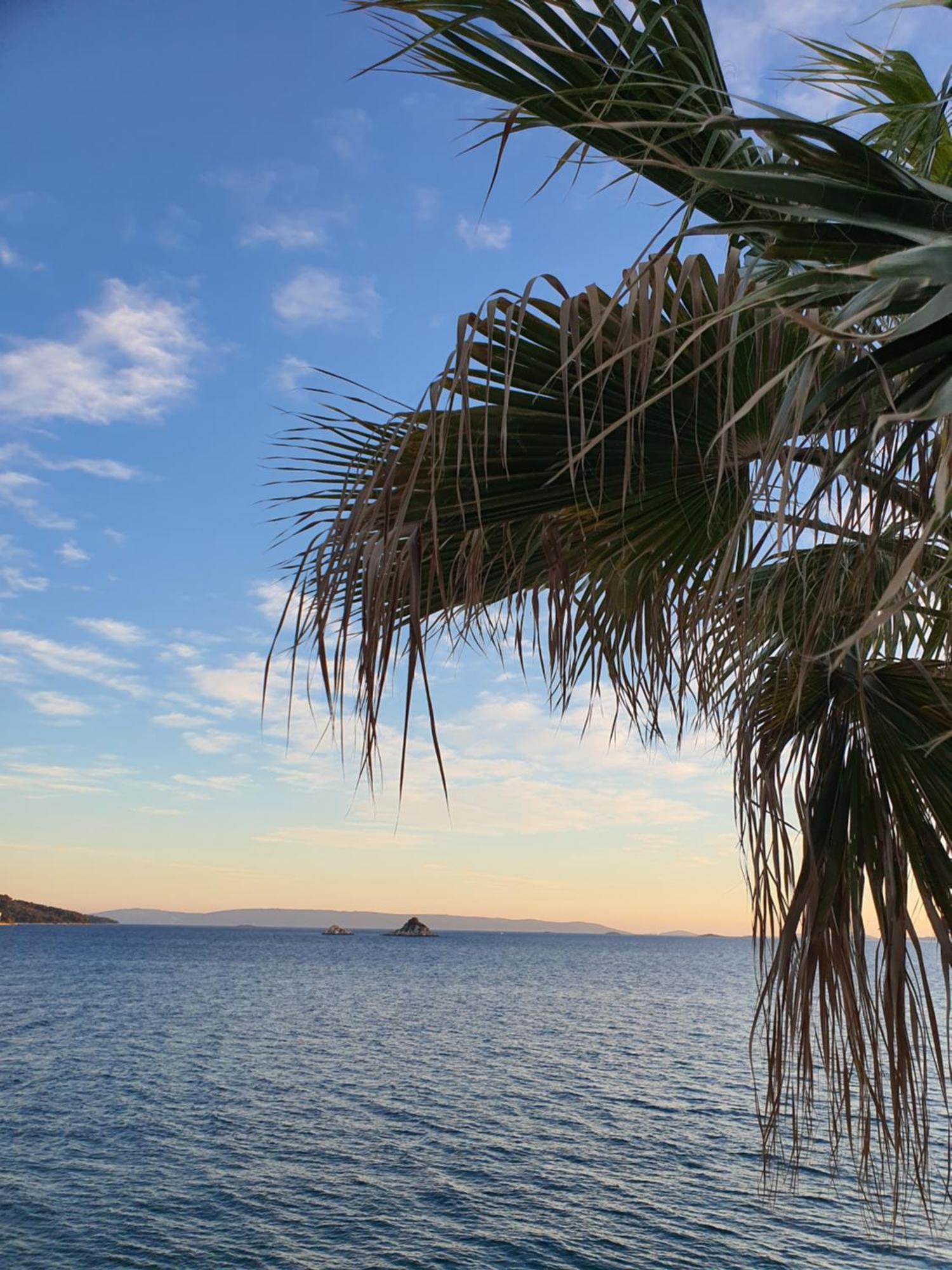 Violeta Hvar Đảo Hvar Ngoại thất bức ảnh