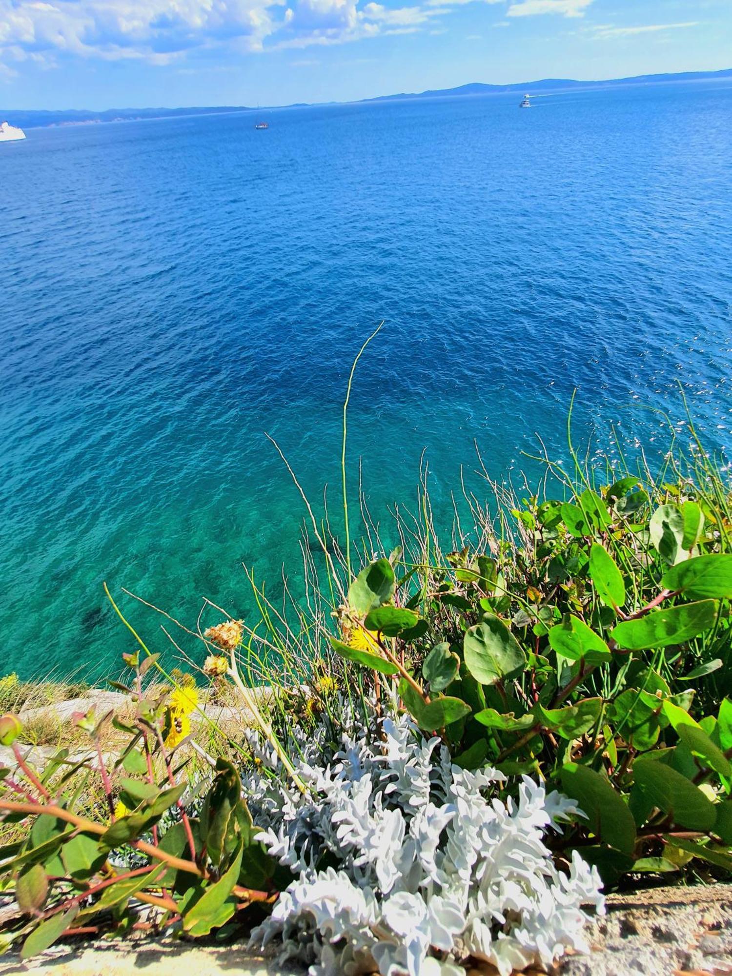 Violeta Hvar Đảo Hvar Ngoại thất bức ảnh