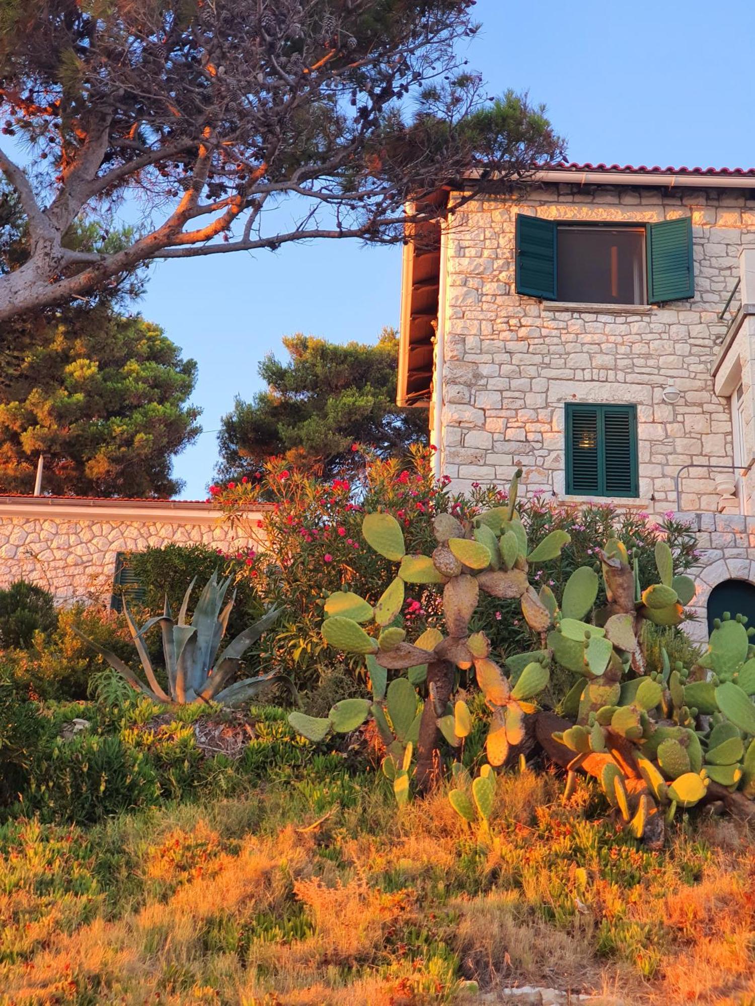 Violeta Hvar Đảo Hvar Ngoại thất bức ảnh